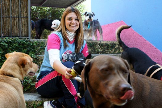 Os serviços da babá de animais de estimação