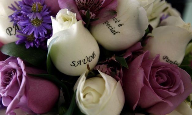 Mensagens escritas nas pétalas das flores