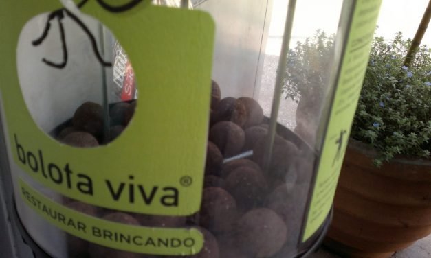 Plante uma árvore por apenas uma moeda