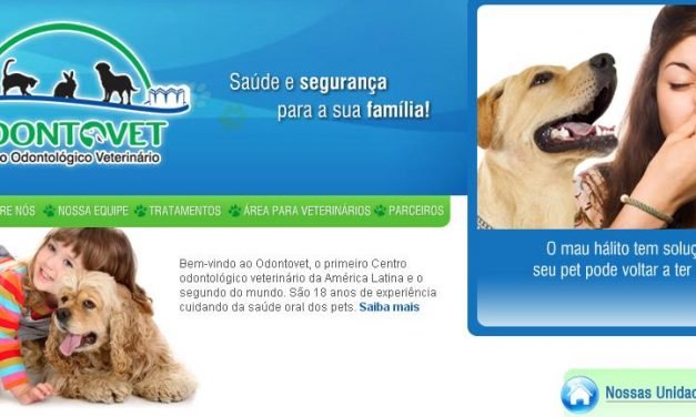 Dentista atende coelhos, chinchilas e saguis