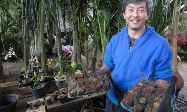 O homem das plantas carnívoras